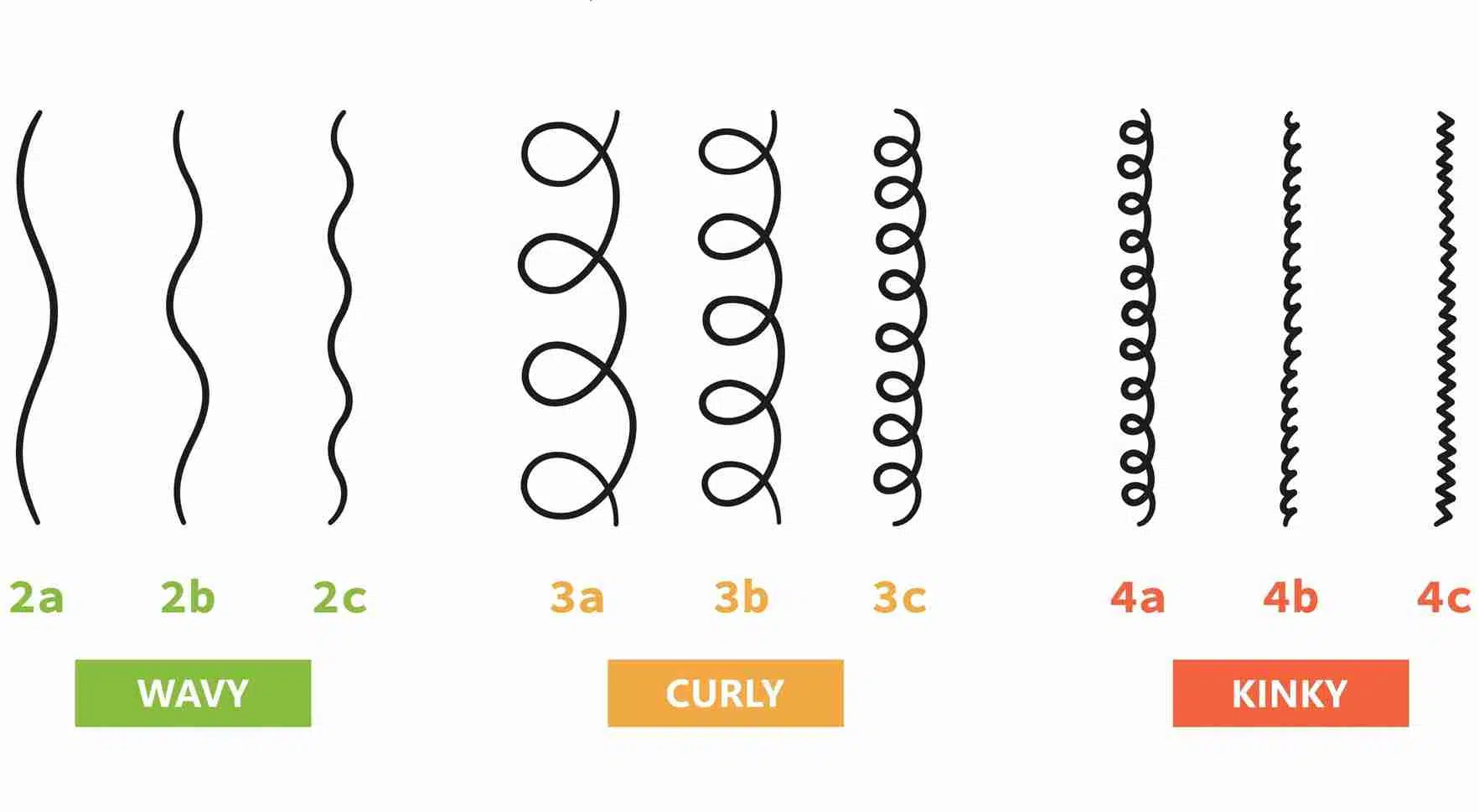 Curly hair types